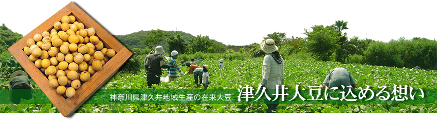 豊国屋おりじなる津久井大豆セット