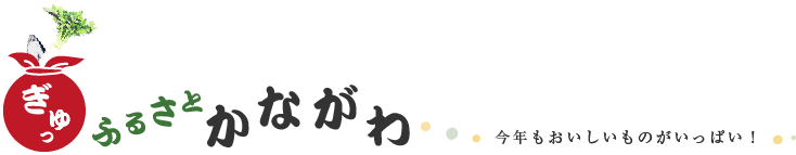 ふるさとかながわ　物産・観光プラザ「かながわ屋」 